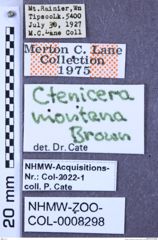 Etiketten zu Selatosomus montanus (Brown, 1935) (NHMW-ZOO-COL-0008298)